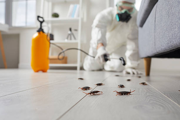 Post-Treatment Bed Bug Interceptor Monitoring in South Lancaster